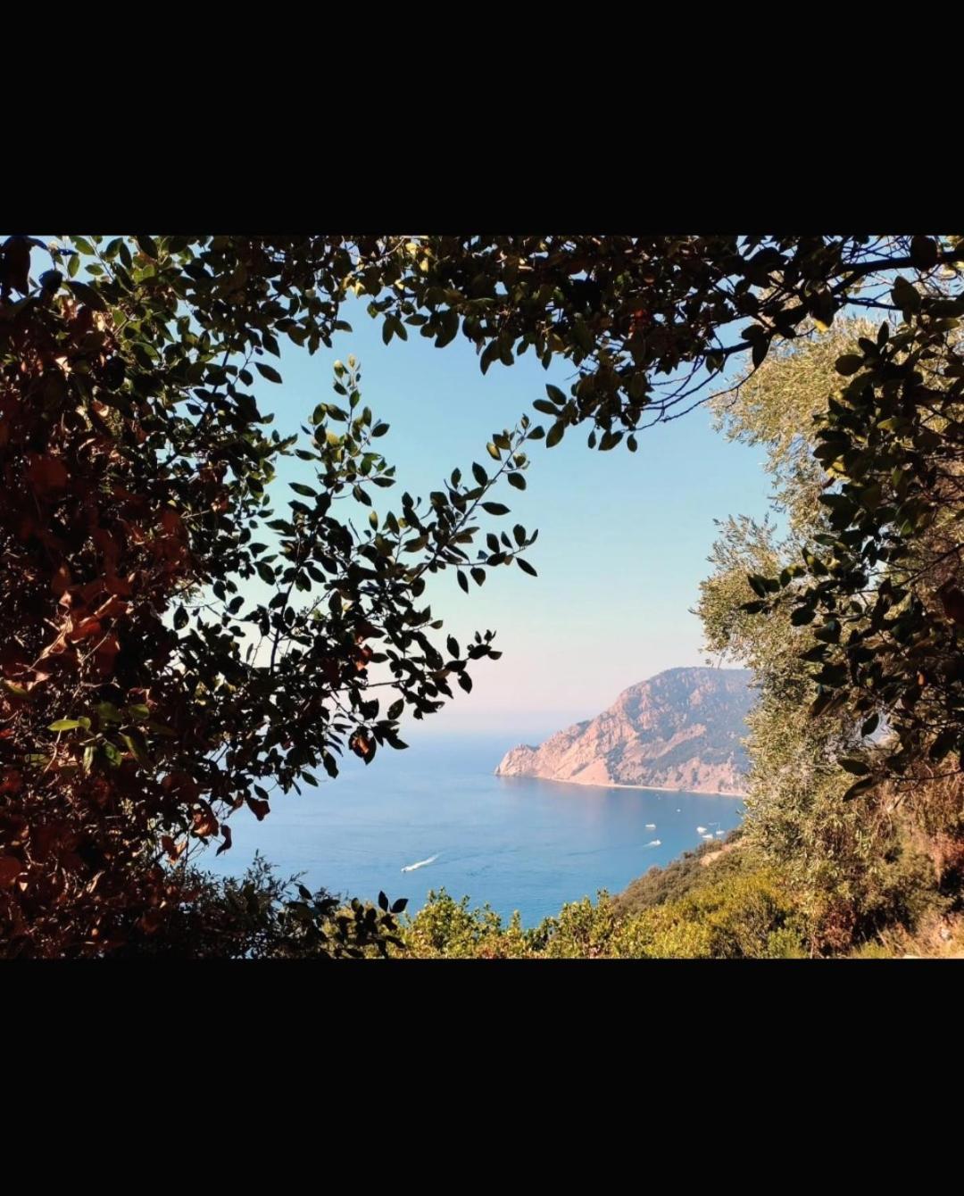 Apartmán Nido Al Mare Bonassola Exteriér fotografie